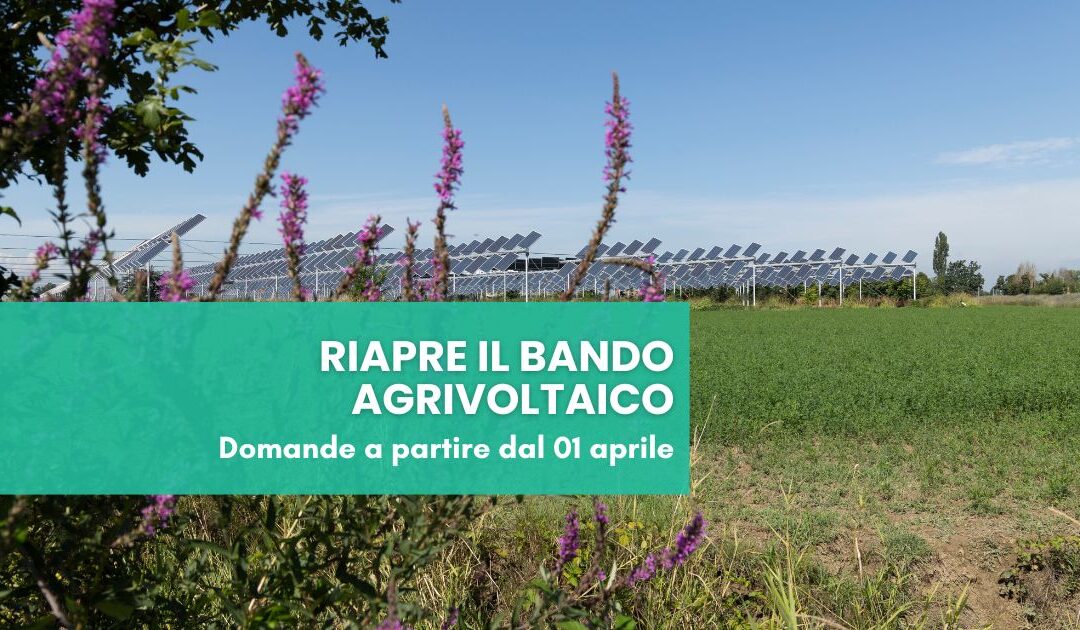 Bando Agrivoltaico