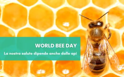 20 maggio: giornata mondiale delle api