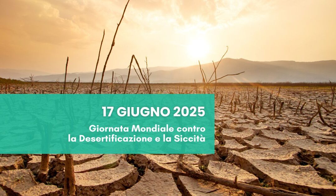 Giornata mondiale contro la desertificazione e la siccità