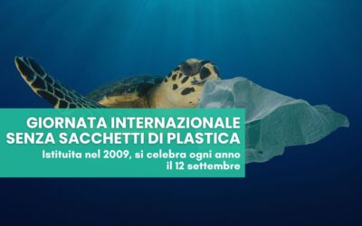 Giornata internazionale senza sacchetti di plastica