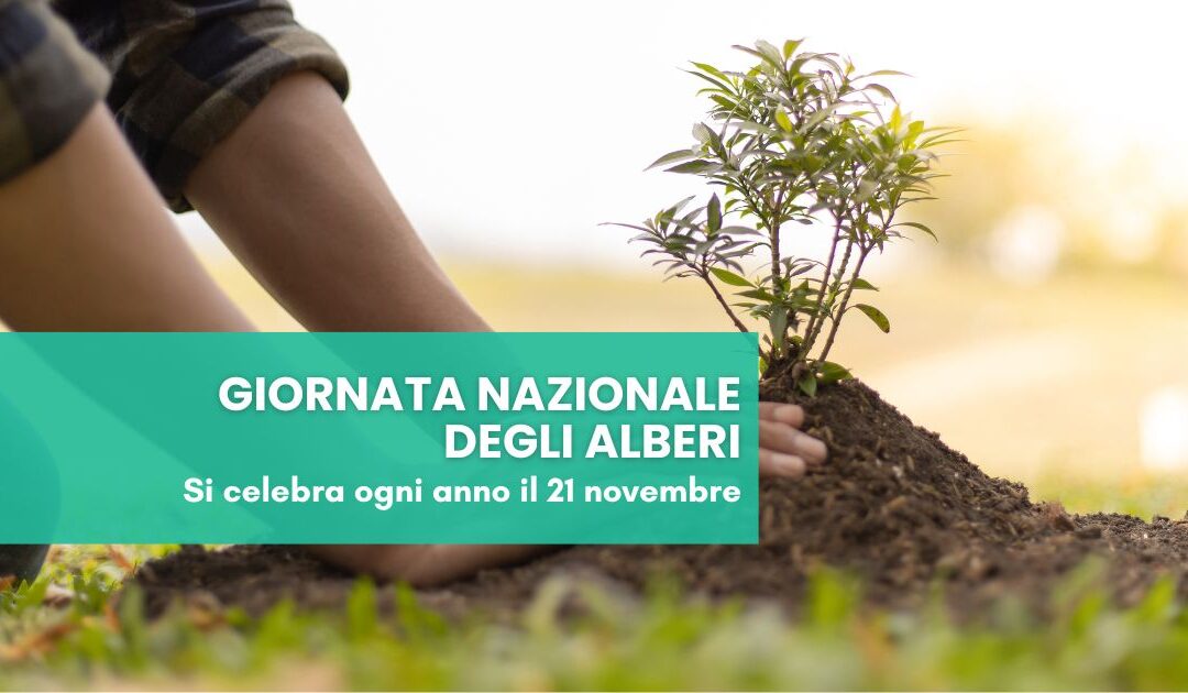 21/11 Giornata Nazionale degli Alberi