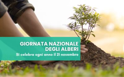 21/11 Giornata Nazionale degli Alberi