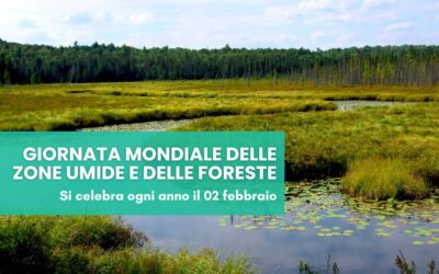 Giornata mondiale delle zone umide e delle foreste