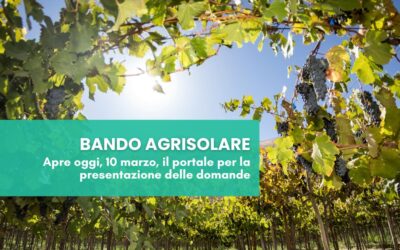 Riapre il Bando Agrisolare: un’opportunità per le aziende agricole