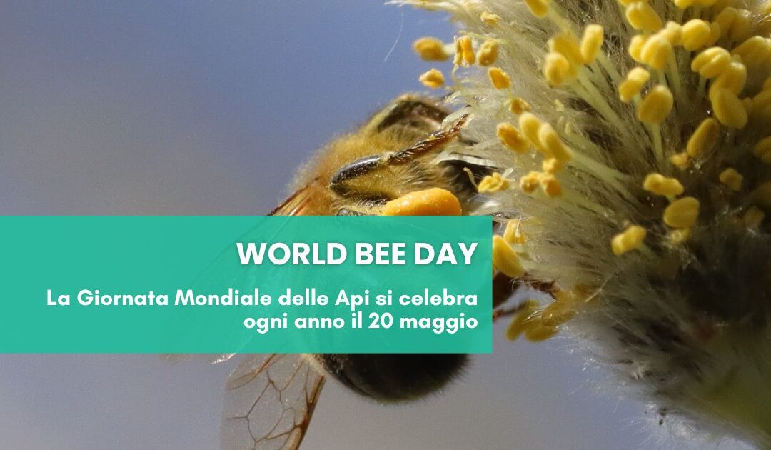 Giornata mondiale delle Api 2026