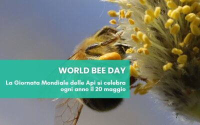 Giornata Mondiale delle Api 2026: proteggere gli impollinatori significa proteggere il nostro futuro
