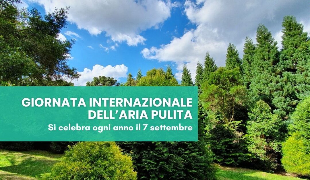 Giornata Internazionale dell'Aria Pulita 2026